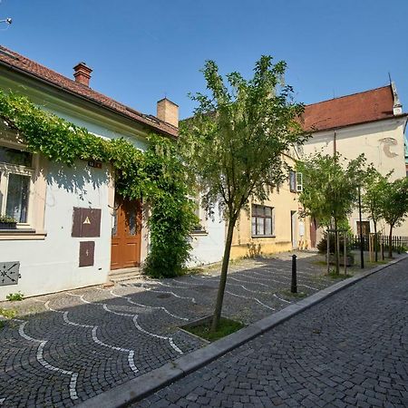 Krejcovstvi Daire Mělník Dış mekan fotoğraf